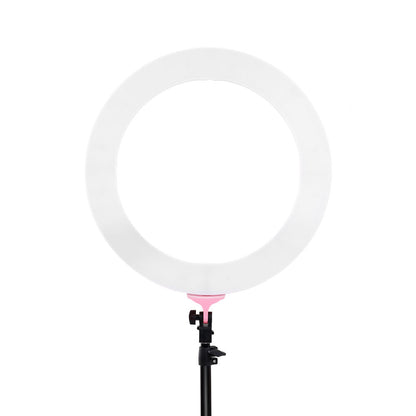 Embellir Ring Light 19" Tripod Stand Pink